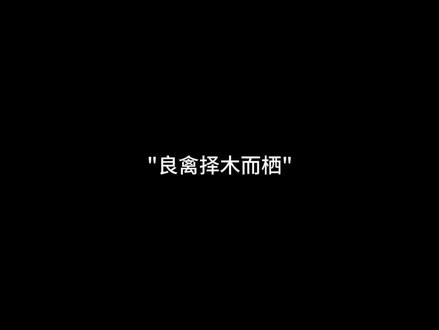 良禽择木而栖#修心 #悟人生之道