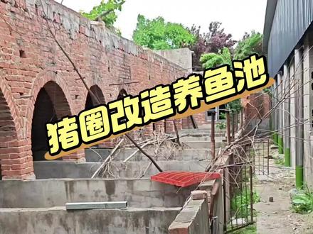 猪圈改造鱼池到底会不会漏水? #真实生活分享计划 #养鱼经验分享 #砌墙 #改造小院 #新农人计划