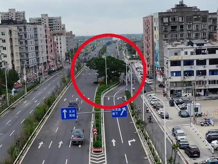 温州海城马路中间有一颗树,来往车辆纷纷绕道而行,这到底是一棵什么树,为何至今无人敢动…#古树#钉子树#千年古树#奇闻奇事#这是一个特别的树