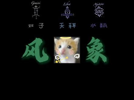 跟风象吵架会发生什么 #风象星座 #风象 #猫meme #吵架