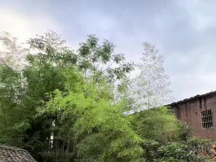 丽水莲都大搬快聚富民安居(续集二)#丽水同城 #抖音热门 #大搬快聚