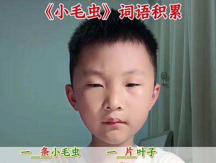 二年级下册语文——《小毛虫》重点词语积累~#小学语文 #知识分享 #每天学习一点点 #我在抖音写日记 #全抖音为2026高考加油