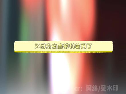 不纠结妆造价位,真正让关注的是千年文化底蕴!#白鹿#综艺#奔跑吧#马山楚墓复原款战国袍#向全世界安利