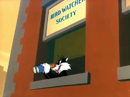 38.小小鸟智斗傻大猫#搞笑动画 #动画片 #怀旧动画 #童年动画