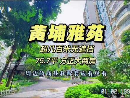 如果不是房东想换房,这房子拿出来出租也是可以的:黄埔雅苑76平 大两房 视野开阔真的太喜欢了 随时看房 #创作灵感 #金秋心动购房季 #广州买房 #黄埔雅苑 #李公子探房