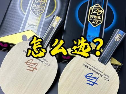 贵不一定适合自己如果是你你怎样选择欢迎大家交流讨论#乒乓球