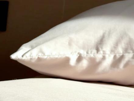 这一次 鸽将夺回属于自己的鸭头 鸭头 鸽承认 你的新朋友Mochi确实很可爱 那鸽便将你的朋友们统统拿下 让你无处可逃#萌宠出道计划#鹦鹉 #牡丹鹦鹉 #Mochi小怪兽毛绒挂饰盲盒 #TOPTOY盲盒