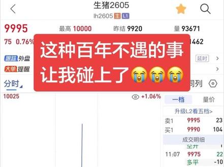 一分钟亏3000😭#期货#傅海棠 #牧原 #生猪价格 #主力合约