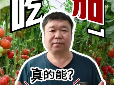 生吃番茄,真的能把前列腺问题吃走吗?#番茄红素 #尿急 #尿频 #前列腺炎 #番茄