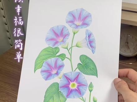 画一朵花的时间,治愈一整天的疲惫~彩铅工具和教程在主页橱窗哦~#彩铅画 #手绘 #治愈