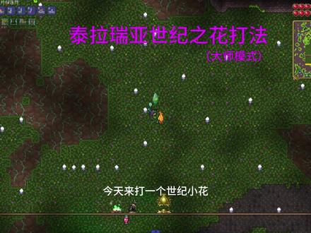 泰拉瑞亚世纪之花打法#泰拉瑞亚#世纪之花