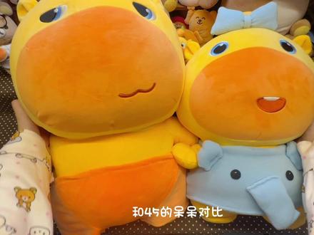 60cm水豚噜噜沉浸式开箱#水豚噜噜