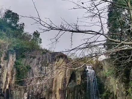 一个库存,桐坑红杉林徒步.vlog#户外 #vlog日常 #随拍 #翻山越岭 #2022年的最后一个月