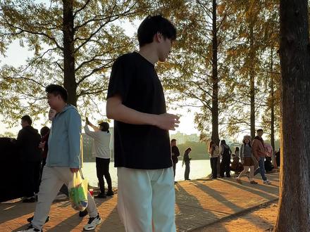 只羡鸳鸯不羡仙#户外 #日落 #慢动作