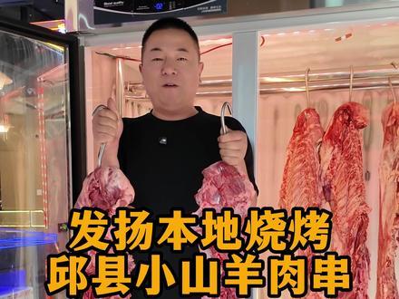 邯郸的烧烤就该是这样的山羊肉串! #邯郸 #烧烤