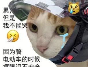 漏了的箱子既是他感知爱的能力,也是他无望生命的倒计时沙漏#稻玉狯岳 #人物分析 #鬼灭之刃 #雷门 #善狯 其实内容是狯岳单人向,鉴于朱波有善狯属性所以打了标签
压抑后的结果果然都是爱吗。之前黑压抑后希望严胜幸福,现在狯压抑完希望狯岳幸福。我知道他们其实是无法获得幸福的,毕竟本身就是为符号而诞生的角色。
老天奶我只是有点共情他两遭遇而已