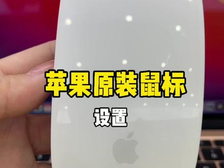 苹果原装鼠标如何设置#苹果 #妙控鼠标 @DOU+小助手