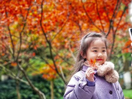 #长沙 岳麓山的枫叶红了🍁,12月初至中旬将进入最佳观赏期@抖音小助手