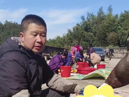 传承手艺,纯手工枫边腊鸭子#家乡的味道