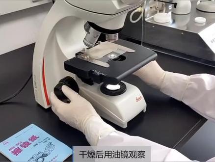 革兰氏染色法的步骤-圣问技术微stspx134张老师检验员资格证检测员培训化验员考试报名
生物显微镜做细菌镜检或者做菌种鉴定的时候都需要进行染色,革兰氏染色是进行细菌观察的一个非常常用的染色方式,现在就由上海老上光仪器有限公司介绍一下革兰氏染色法的步骤。
原理:革兰氏染色法可将所有的细菌区分为革兰氏阳性菌du(G+)和革兰氏阴性菌(G-)两大类,是细菌学上最常用的鉴别染色法。该染色法之所以能将细菌分为G+菌和G-菌,是因为一般认为革兰氏染色是基于细菌细胞壁特殊化学组分进行染色的。
步骤:
(一)涂片固定
在干净的载玻片中央滴加一滴蒸馏水,用接种环进行无菌操作,挑取培养物少许,置载玻片的水滴中,与水混合做成菌悬液并涂布成直径约1cm的薄层。
(二)染色
在固定过的涂片菌膜上滴加草酸铵结晶紫染液,染色液应完全覆盖整个菌膜,染色1min。
(三)水洗
染色到一定的时间,拿住玻片使之成450角,用细小的水流把多余的染料冲洗掉,被菌体吸附的染料则保留。
(四)媒染
加碘液覆盖涂面染1min。在媒染处理时,媒染剂与染料形成不溶性的化合物,可增加染料和细菌的亲和力。
(五)水洗,用吸水纸吸去水分
用细小的水流缓慢冲洗涂片上的染色液,用吸水纸吸干。
(六)脱色
加95%酒精数滴,并轻轻摇动进行脱色, 20s~30s后再进行水洗,吸去水分。
(七)复染
蕃红染色液染色10s后, 自来水冲洗。
(八)干燥,镜检
染色的结果,革兰氏正反应菌体都呈紫色,负反应菌体都呈红色。
扩展资料
标本干燥后即进行固定,固定的目的有三个:
(1)杀死微生物,固定细胞结构。
(2)保证菌体能更牢固的粘附在载玻片上,防止标本水洗时被水冲洗掉。
(3)改变染料对细胞的通透性,因为死的原生质比活的原生质易于染色。#革兰氏染色法 #革兰氏染色 #化验员培训 #检验员证书 #检测员