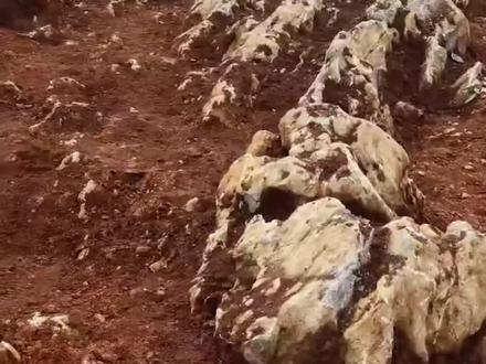 宁阳石海数据:南北300米、东西100米,5亿年前的海底。最惊喜的是这块石头——上面刻着棋盘!远古海底配棋盘,就问你绝不绝?#济枣高铁 #宁阳石海#奇观