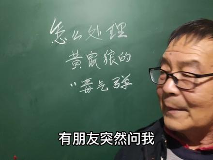 怎样处理黄鼠狼的“毒气弹?”