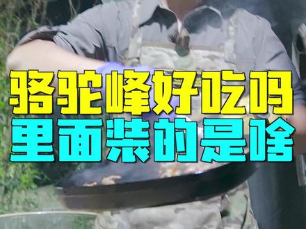 驼峰肉真的是骆驼峰做的吗?这到底是个什么肉?#驼峰肉 #上热门🔥 #骆驼肉