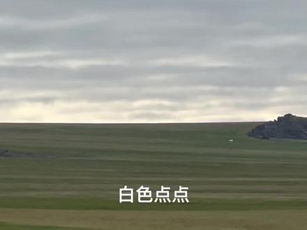 第一次来俄罗斯陆地的最北端!有幸看到北极熊!可惜没有敢靠近!据当地人目测.这只熊属于超大级别的!这是手机拉到最近的效果!
