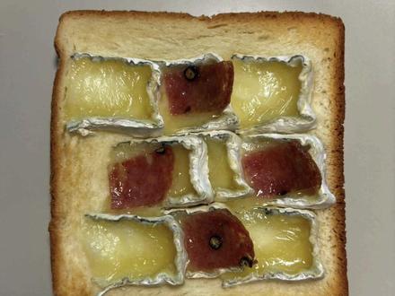 白霉软质奶酪食谱 #奶酪#芝士