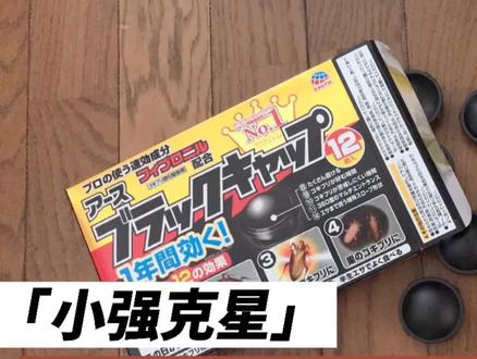 【灭蟑神器】EARTH安速蟑螂屋·Black Cap小黑帽,小强绝迹就靠它