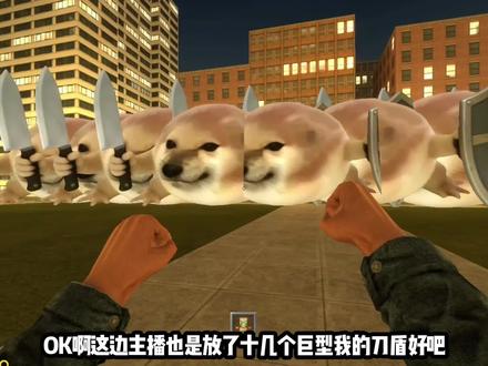 挑战粉丝表情包 #233乐园#盖瑞模组