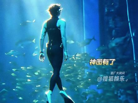 #吴磊化身美男鱼了 吴磊你到底还有多少惊喜是🦊不知道的 #吴磊 #自由潜 #三亚 #旅行