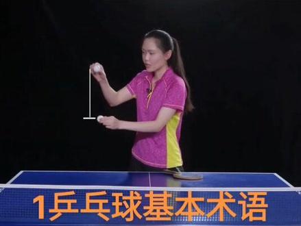1乒乓球基本术语 北体大乒乓球教学#乒乓球