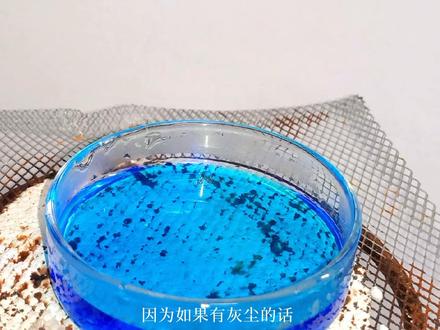 #化学实验 #化学 #实验 这次是大家喜闻乐见的硫酸铜晶体的培养教程,同样是有配音的哦(•̀⌄•́)
