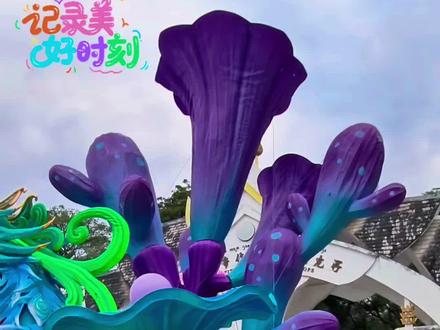 西双版纳宝藏地!热带花卉园蓝湖美到像小清迈
#西双版纳之行 #创作者中心 #创作灵感 #旅拍 #旅行推荐官