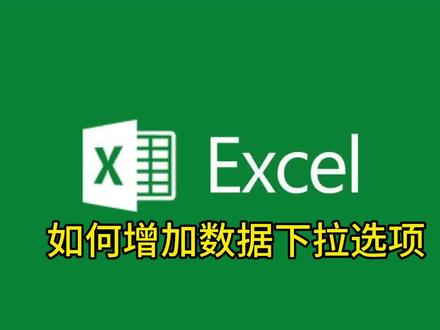 最全的下拉选项教程#excel技巧 #教程 #干货分享 #职场 #文员
