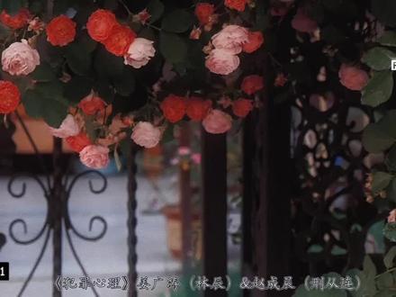 也就循环听了几十遍吧!我看看是谁同款嘴角飞上天了#刑从连 #林辰 #广播剧 #犯心 #声优都是怪物 #姜广涛 #赵成晨