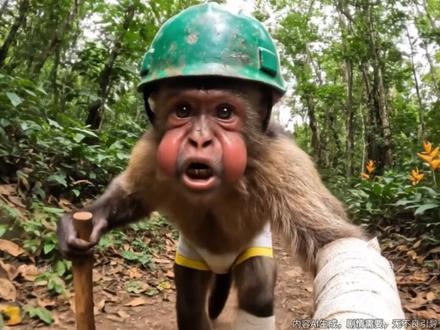 牢大肘鸡面,马喽竟然敢加肘子 #2025AI年终大赏#AI创作浪潮计划#搞笑视频#马喽#猪妞