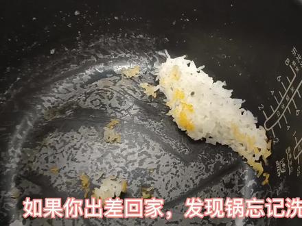 如果你出差回家,发现忘洗的饭锅长满了菌落,是不是也直接扔了? #显微镜 #显微镜下的世界 #微观世界 #饭锅 #厨房卫生 #细菌真菌病害 #葡萄球箘