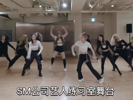 盘点SM娱乐公司播放量最高的前十五个练习室,你都看过哪几个呢?#EXO #NCT #少女时代 #NCT127 #nctu #aespa #kpop