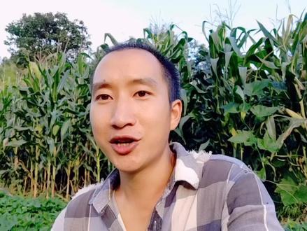 阿斌智斗野猪,鞭炮加蚊香,制作驱猪神器,看看效果如何