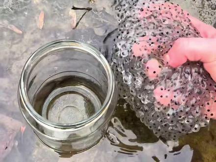 如果在野外看见这种东西,千万不要慌! #趣事 #科普 #涨知识 #全球看点