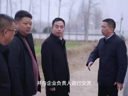 下午区委书记来我公司