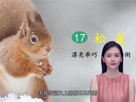 五年级语文上册第五单元第17课《松鼠》 #五年级语文上册