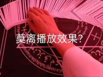 #莫离 #白鹿 #丞磊 #塔罗 #白鹿丞磊新剧 莫离播放效果?塔罗占卜