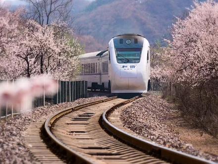 #投资59.5亿元!#诸城这条铁路经过你家附近吗?