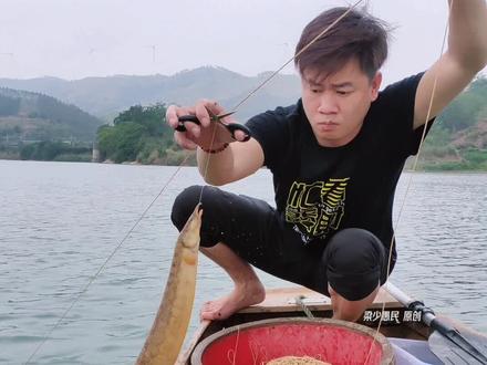 上次的黑带鱼没吃完,居然又来条红鲤鱼#鱼