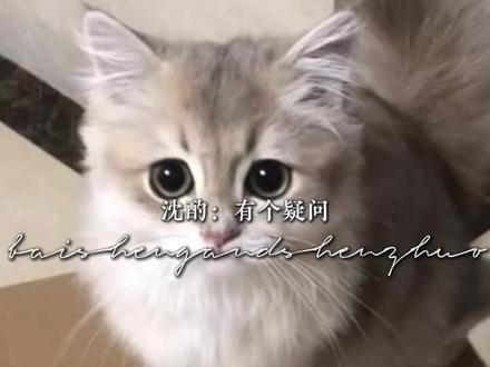 *白晟,不是我说你,你搁这答应求婚呢,还“我愿意”,你承认吧,你就是被我们监察官迷的找不着东南西北了#广播剧#洄天#白晟#沈酌#淮上