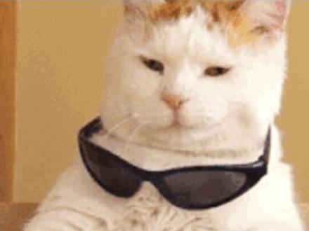 就这个自己当系统的感觉爽#Hobby#虚拟#剧本杀