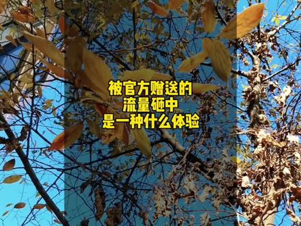 为什么你的视频发出去没有流量助推,而我发的视频就有呢?#短视频 #流量助推 #助推 #日常vlog #流量扶持